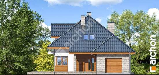 Передній фасад Будинок в сансев'єріях