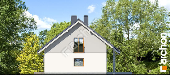 Боковой фасад Дом в вистерии 5 (Г2)