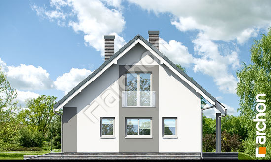 Бочний фасад Будинок в гейджею (Т)