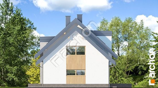 Боковой фасад Дом в тамарисках 7