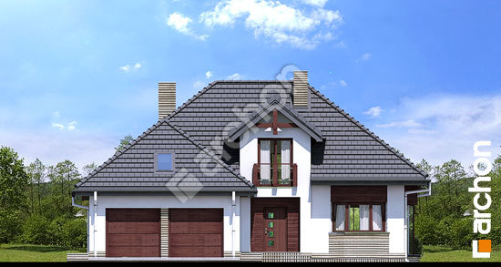 Передний фасад Дом в каллатеях 2 вер.2