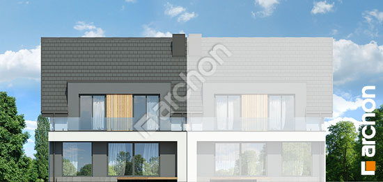 Дворовой фасад Дом в клематисах 29 (БА)