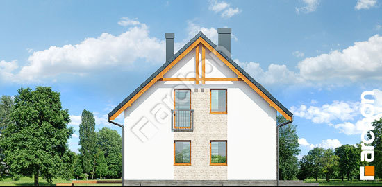 Боковой фасад Дом в хлорофитуме 6 (ПТ)