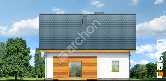 Дворовой фасад Дом в хлорофитуме 6 (ПТ)