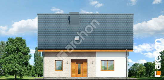 Передній фасад Будинок в хлорофітумі 6 (ПТ)