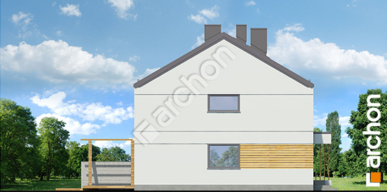 Бочний фасад Будинок в тунбергіях 2 (Р2А)