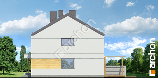 Боковой фасад Дом в тунбергиях 2 (Р2А)