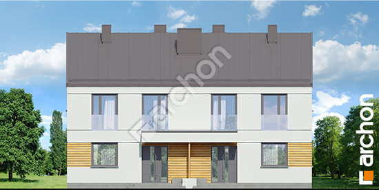 Передний фасад Дом в тунбергиях 2 (Р2А)