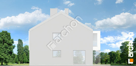 Бочний фасад Будинок під міліном (Б)