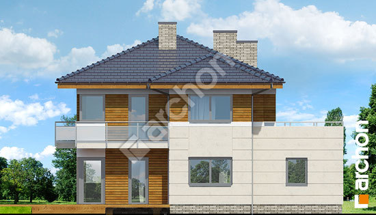 Дворовой фасад Вилла Ирма