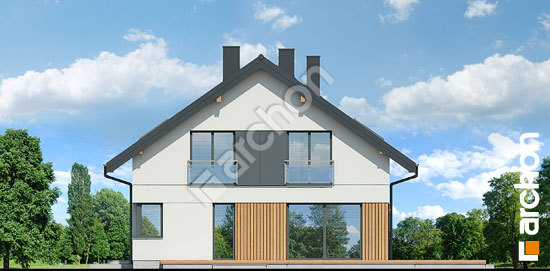 Дворовой фасад Дом в аурорах 19 (Г2)