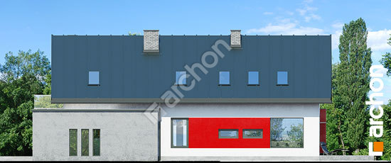 Дворовой фасад Дом в карри вер.2