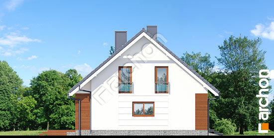 Бочний фасад Будинок в аурорах (П)