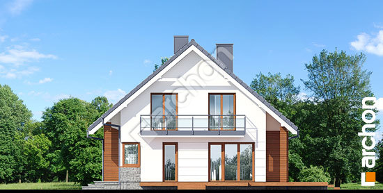 Боковой фасад Дом в аурорах (П)