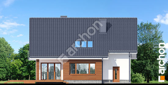 Дворовий фасад Будинок в аурорах (П)