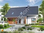 Проект будинку ARCHON+ Будинок в аурорах (П) 