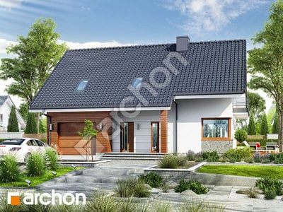 Проект дома ARCHON+ Дом в аурорах (П) 