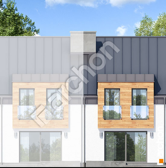 Дворовий фасад Будинок під гінко 9 (СН)