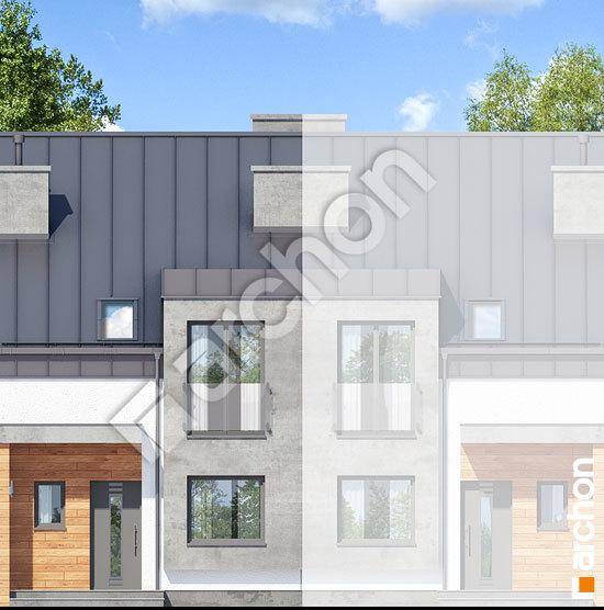 Передній фасад Будинок під гінко 9 (СН)