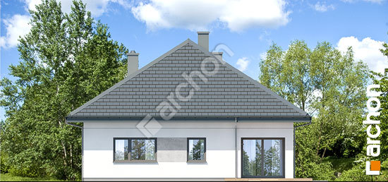 Дворовий фасад Будинок в хакетіях 2