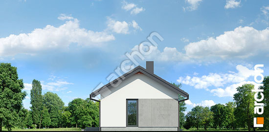 Бочний фасад Літній будиночок над озером