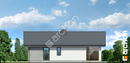 Дворовой фасад Летний домик над озером