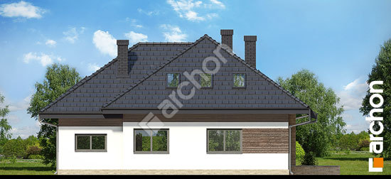 Дворовий фасад Будинок в бузку (ГПД) вер.2