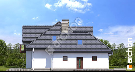 Бочний фасад Будинок в каллатеях 2 (Т)