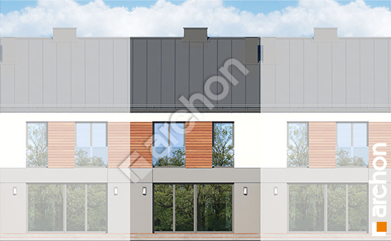 Дворовий фасад Будинок в рівіях (ГСА)