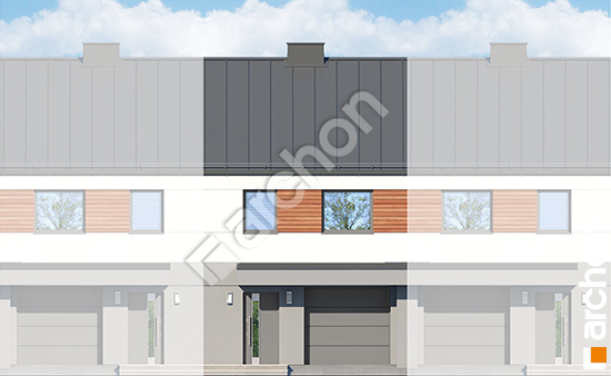 Передній фасад Будинок в рівіях (ГСА)