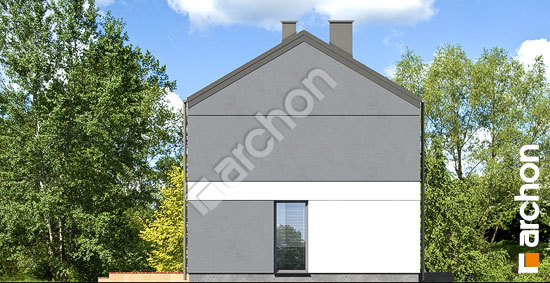 Бочний фасад Будинок в мураях