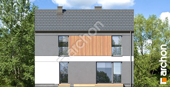 Дворовой фасад Дом в мураях