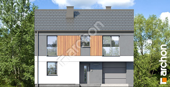 Передний фасад Дом в мураях