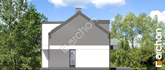 Боковой фасад Дом в полыне (Б)