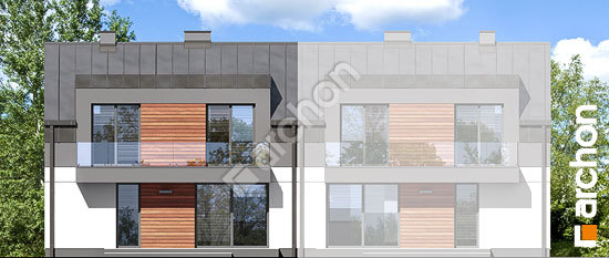 Дворовий фасад Будинок в полині (Б)