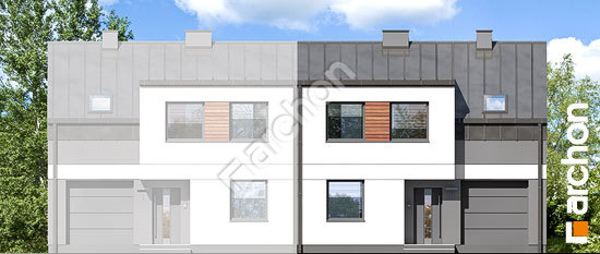 Передній фасад Будинок в полині (Б)