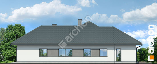 Бочний фасад Будинок в підсніжниках 19 (Г2Е)