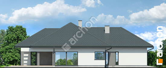 Бочний фасад Будинок в підсніжниках 19 (Г2Е)