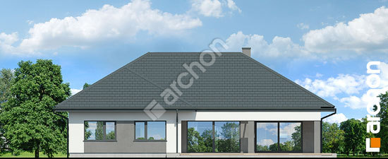 Дворовой фасад Дом в подснежниках 19 (Г2Е)