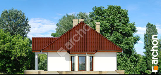 Боковой фасад Дом в гаурах 3