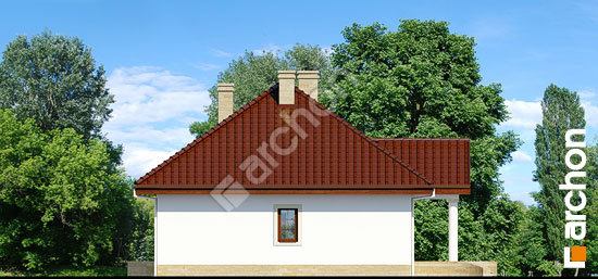 Боковой фасад Дом в гаурах 3