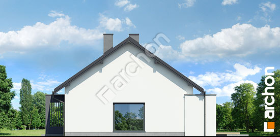 Бочний фасад Будинок в нарахнілах 2