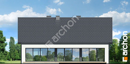 Дворовий фасад Будинок в нарахнілах 2