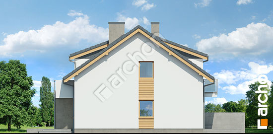 Бочний фасад Будинок в клематисах 23 (Б)