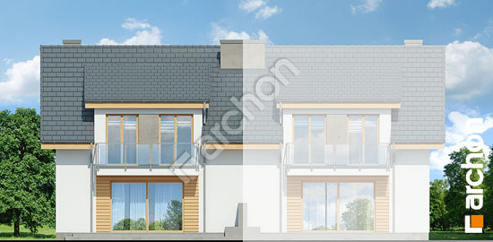 Дворовий фасад Будинок в клематисах 23 (Б)