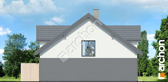 Боковой фасад Дом под гинко 22 (ГБ)