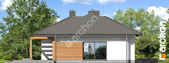 Бочний фасад Будинок під ціцербітою 2