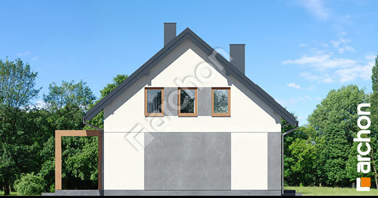 Бочний фасад Будинок в яблонках 20