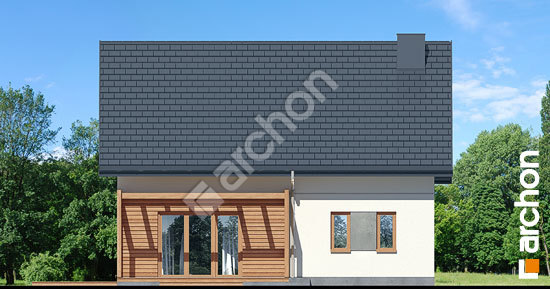 Дворовий фасад Будинок в яблонках 20