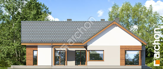 Бочний фасад  Будинок в галах 4